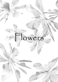 大人モノクロの花びら