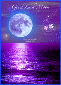 願いが叶う✨紫月 クローバー