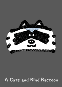 A Cute and Kind Raccoon Dark Theme