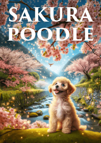 sakura poodle