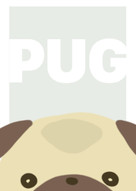 Softy Pug