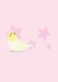 Cockatiel pink and pink