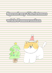 Spend my Christmas with Pomeranian