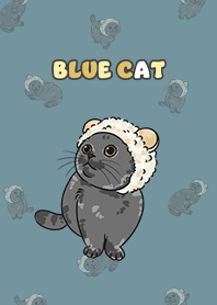 bluecat2 / teal blue