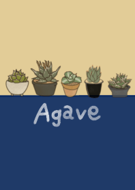 agave