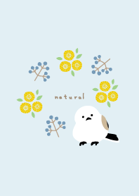 Long-tailed tit flowers and fruit26Japan