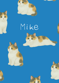 Chubby Calico Cat on blue