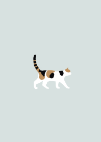 theme of a cat (calico cat at a dike)