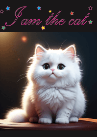 かわいいニャー猫