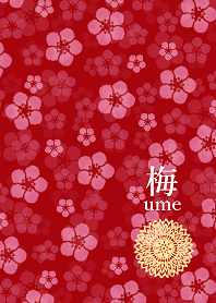 紅梅 -ume-