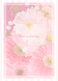 Gerbera Theme -2021- 32