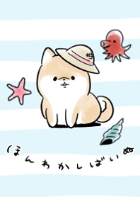 Shibainu Dog -summer-