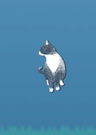 Simple adult cat 1000