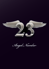 Angel Number 23