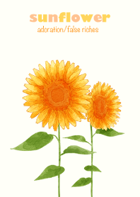 Birth flower August