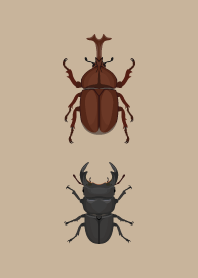 -Beetle & Dorcus hopei theme-.
