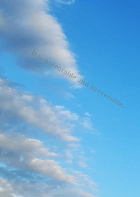 It is irreparable and irreversible.