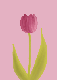The Graceful Tulip