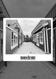 monochrome photograph 47