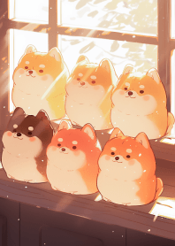 我家的柴犬 4