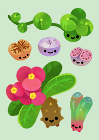 Baby succulents_J