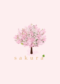 SAKURA.....7