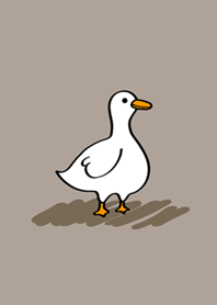 Daze duck-brown