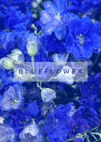 BLUE FLOWER-hisatoto 14