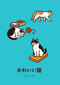 My cats(mint blue)