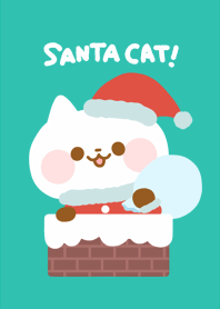 SANTA CAT !!