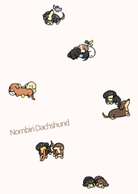 Nombiri Dachshund