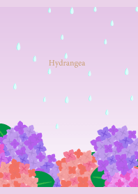 Rain and Hydrangea on light purple