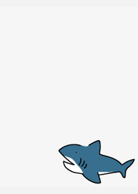 Lazy Shark on white JP