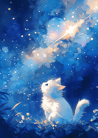 Cat watching meteors