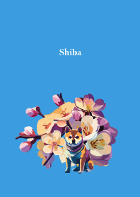 sakura and Shiba on blue