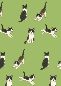 tuxedo cat05 on moss green