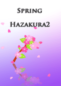 春(葉桜2)
