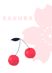 Sakura cherry