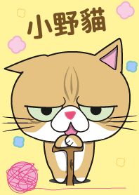 Bao Ono Cat