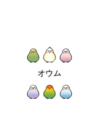 私の小さなオウム（白）