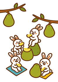 กระต่ายเกรปฟรุต-สีขาว