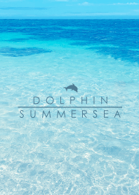 SUMMER SEA HAWAII BLUE DOLPHIN 7