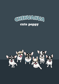 chihuahua1 / indigo