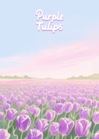 Field of Purple Tulips