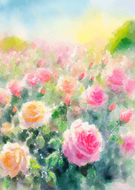 Beautiful rose flower(R2642)