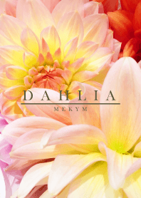 DAHLIA Flower -MEKYM-