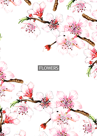 water color flowers_1083