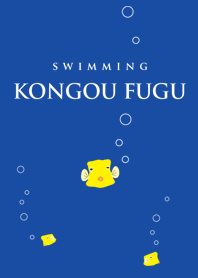 Swimming kongoufugu.
