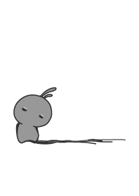 rabbit staring-30