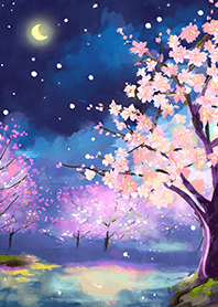 Beautiful night cherry blossoms#613